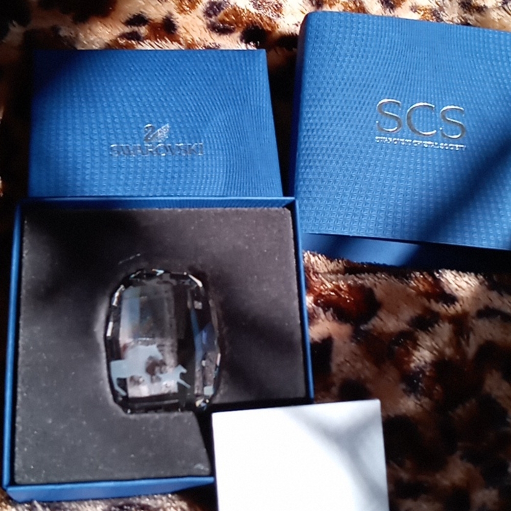 SWAROVSKI SCS MEMBERSHIP CRYSTAL - Picture 6 of 8